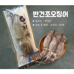 반건조 오징어